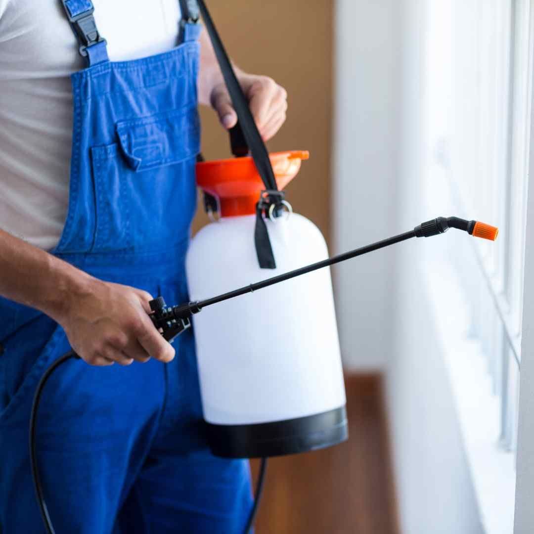 man with pest control