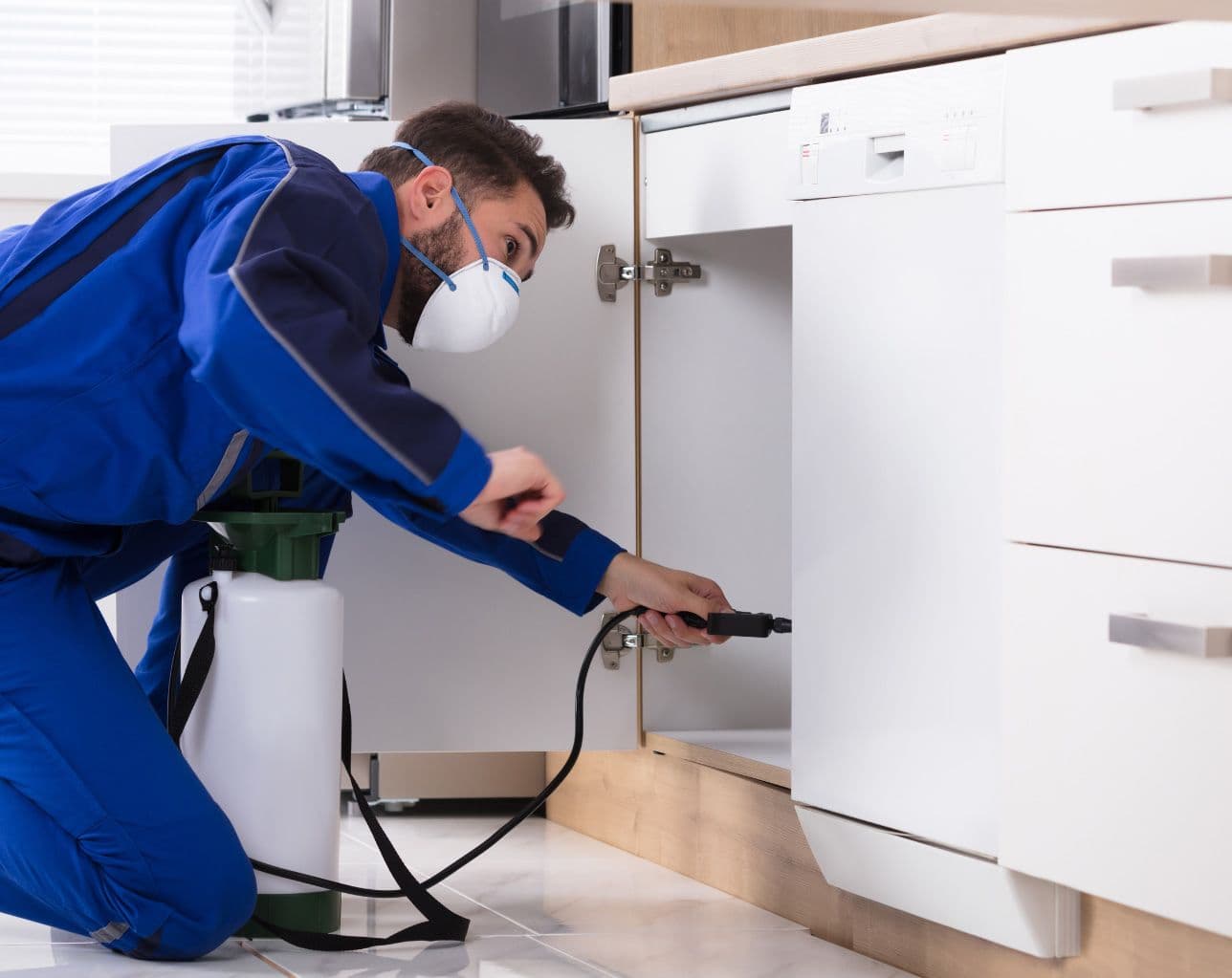 man spraying in cabinet pest control